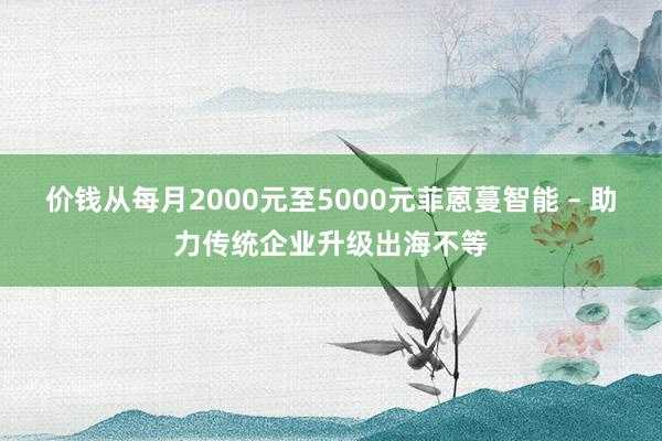 价钱从每月2000元至5000元菲蒽蔓智能 – 助力传统企业升级出海不等